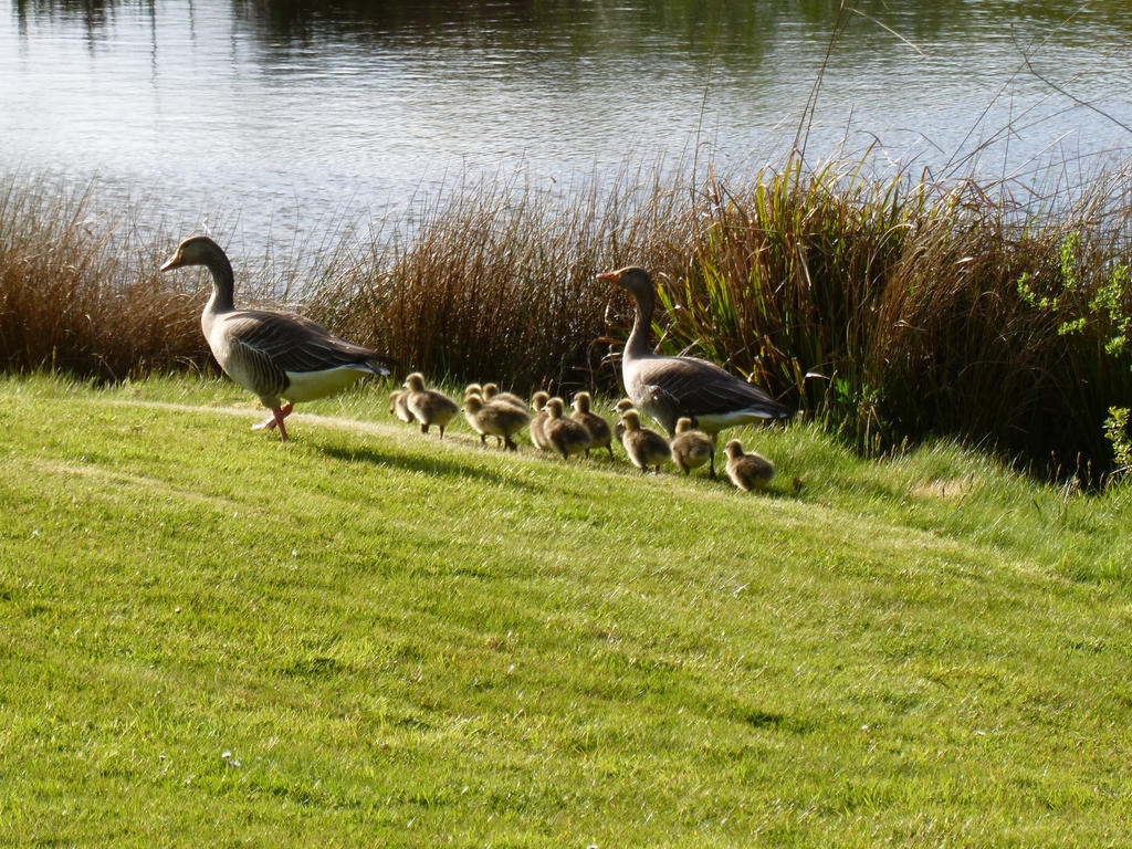 London Beach Country Hotel & Golf Club Tenterden Eksteriør bilde